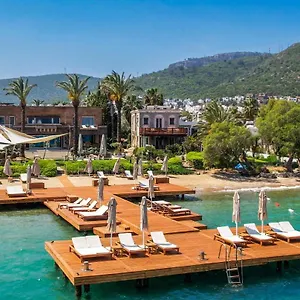 Hotel Casa Dell'arte The, Torba