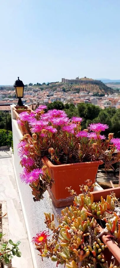 Homestay Ephesus Hillside Apartment Selcuk