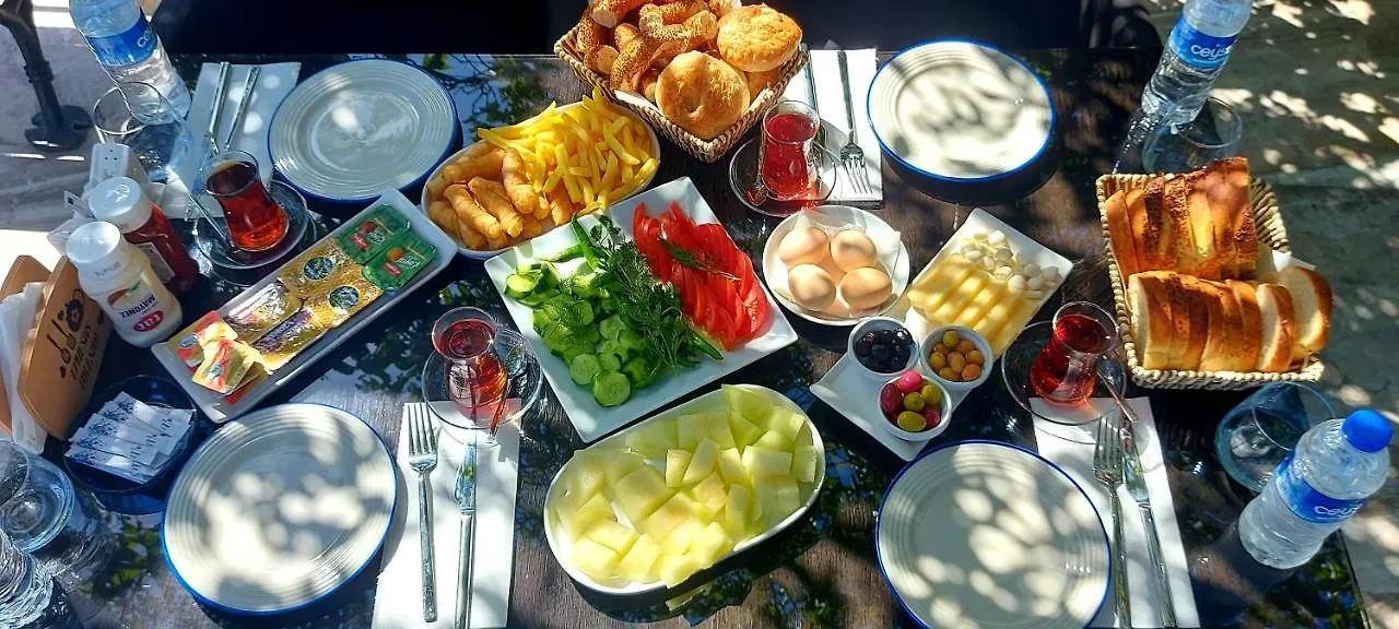 Homestay Ephesus Hillside Apartment Selcuk Turkey